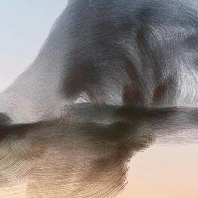 Course Image © Xavi Bou